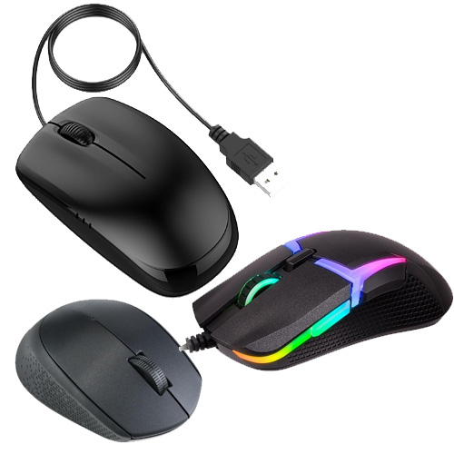 Mouse